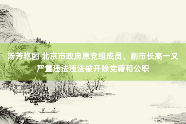 汤芳艳图 北京市政府原党组成员、副市长高一又严重违法违法被开除党籍和公职