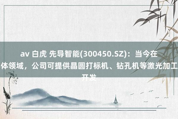 av 白虎 先导智能(300450.SZ)：当今在半导体领域，公司可提供晶圆打标机、钻孔机等激光加工开发