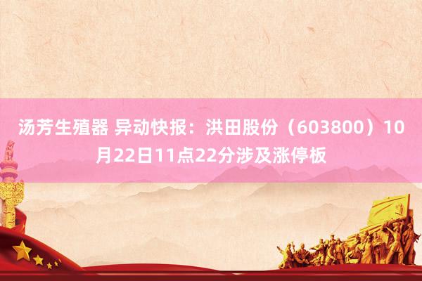 汤芳生殖器 异动快报：洪田股份（603800）10月22日11点22分涉及涨停板