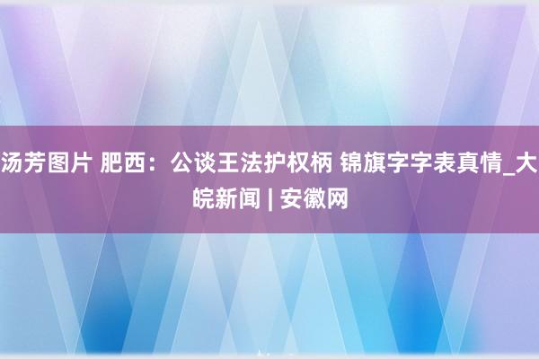 汤芳图片 肥西：公谈王法护权柄 锦旗字字表真情_大皖新闻 | 安徽网