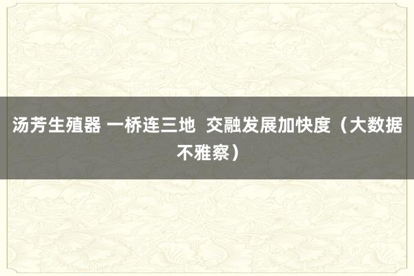 汤芳生殖器 一桥连三地  交融发展加快度（大数据不雅察）