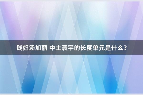 贱妇汤加丽 中土寰宇的长度单元是什么？