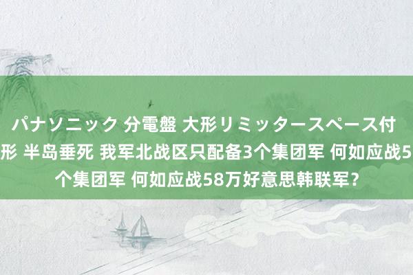 パナソニック 分電盤 大形リミッタースペース付 露出・半埋込両用形 半岛垂死 我军北战区只配备3个集团军 何如应战58万好意思韩联军？