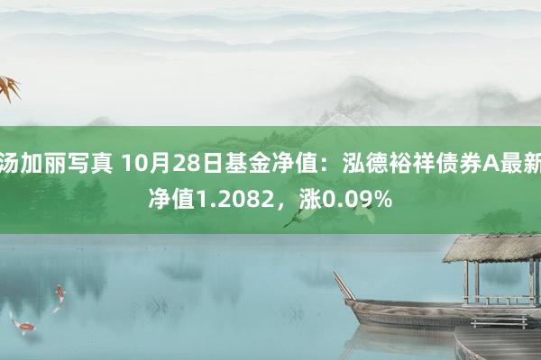 汤加丽写真 10月28日基金净值：泓德裕祥债券A最新净值1.2082，涨0.09%