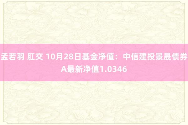 孟若羽 肛交 10月28日基金净值：中信建投景晟债券A最新净值1.0346