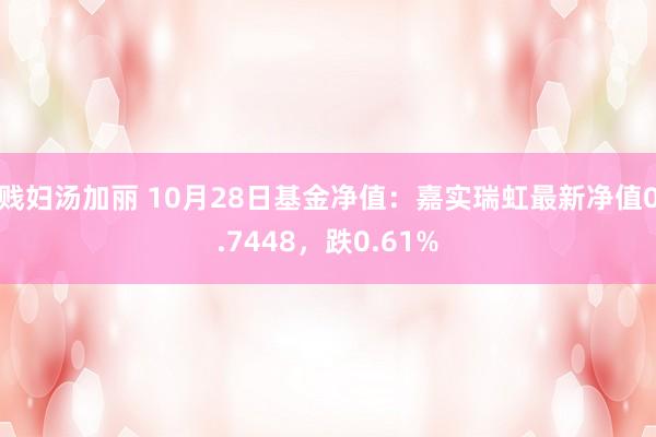 贱妇汤加丽 10月28日基金净值：嘉实瑞虹最新净值0.7448，跌0.61%