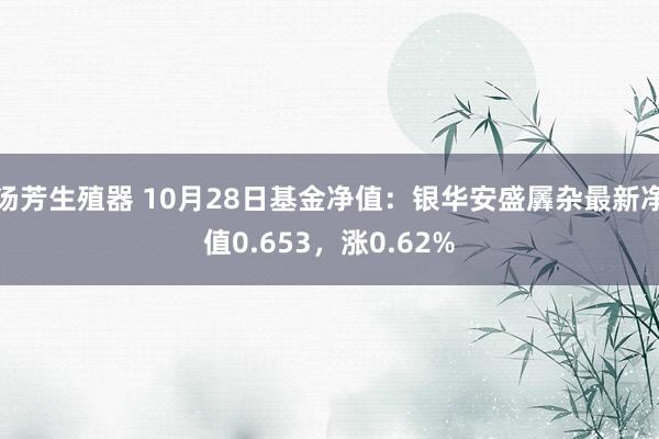 汤芳生殖器 10月28日基金净值：银华安盛羼杂最新净值0.653，涨0.62%