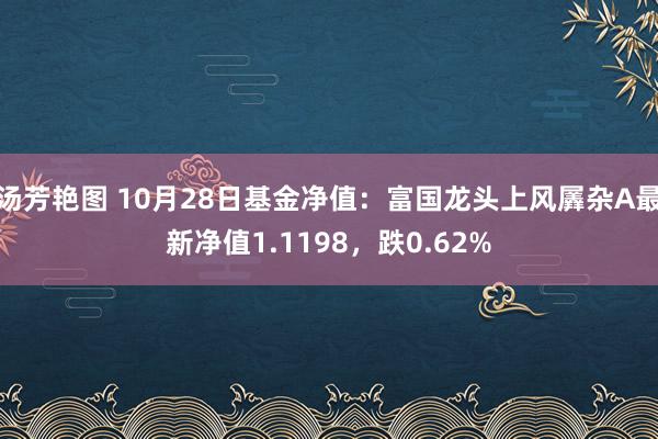 汤芳艳图 10月28日基金净值：富国龙头上风羼杂A最新净值1.1198，跌0.62%