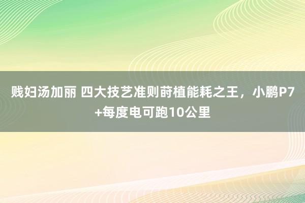 贱妇汤加丽 四大技艺准则莳植能耗之王，小鹏P7+每度电可跑10公里