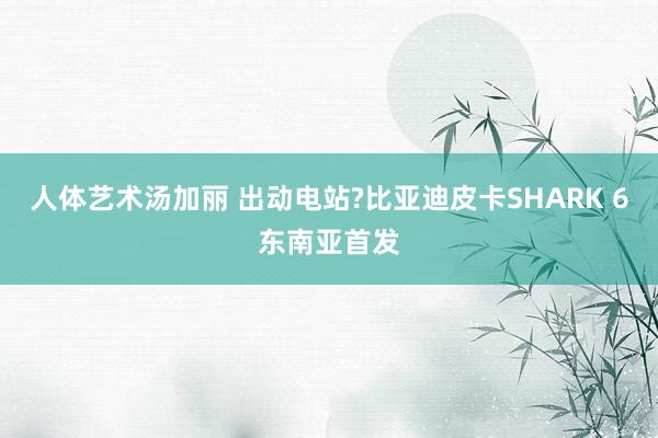 人体艺术汤加丽 出动电站?比亚迪皮卡SHARK 6东南亚首发