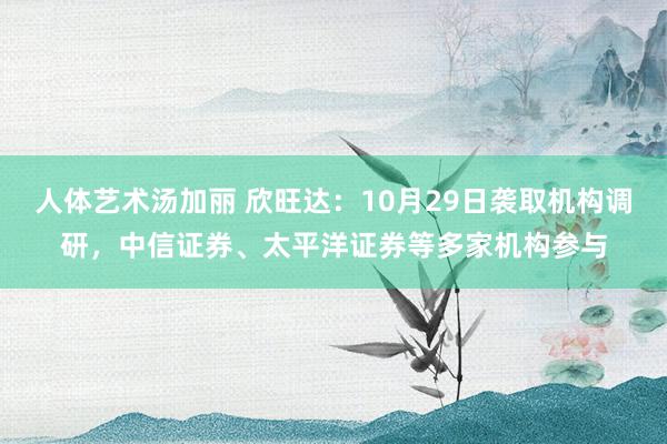 人体艺术汤加丽 欣旺达：10月29日袭取机构调研，中信证券、太平洋证券等多家机构参与