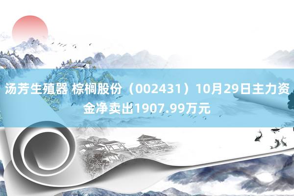 汤芳生殖器 棕榈股份（002431）10月29日主力资金净卖出1907.99万元