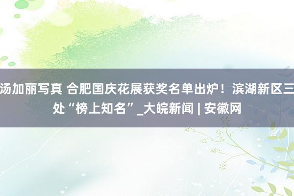 汤加丽写真 合肥国庆花展获奖名单出炉！滨湖新区三处“榜上知名”_大皖新闻 | 安徽网