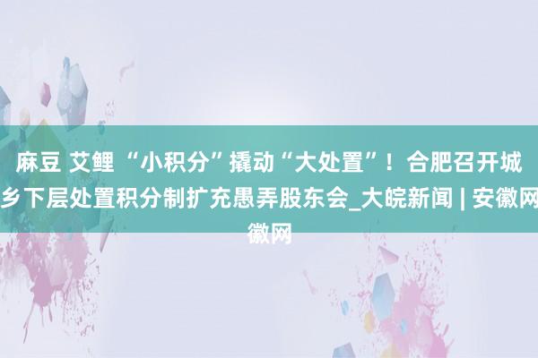 麻豆 艾鲤 “小积分”撬动“大处置”！合肥召开城乡下层处置积分制扩充愚弄股东会_大皖新闻 | 安徽网