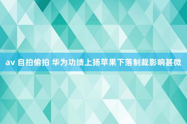 av 自拍偷拍 华为功绩上扬苹果下落制裁影响甚微