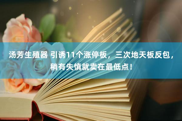 汤芳生殖器 引诱11个涨停板，三次地天板反包，稍有失慎就卖在最低点！