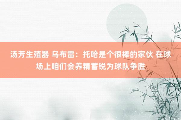 汤芳生殖器 乌布雷：托哈是个很棒的家伙 在球场上咱们会养精蓄锐为球队争胜