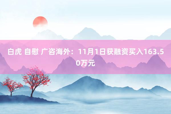 白虎 自慰 广咨海外：11月1日获融资买入163.50万元