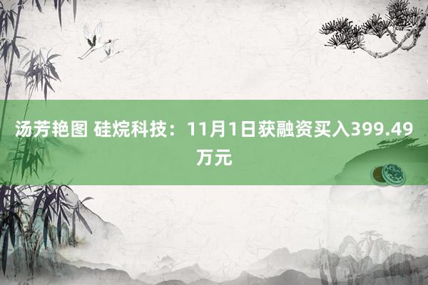 汤芳艳图 硅烷科技：11月1日获融资买入399.49万元