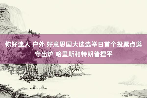 你好迷人 户外 好意思国大选选举日首个投票点遵守出炉 哈里斯和特朗普捏平