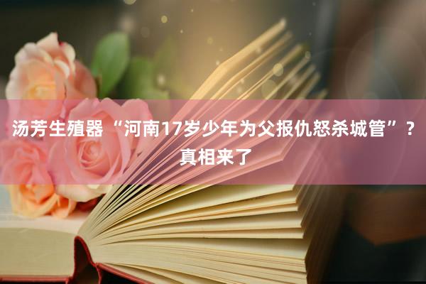 汤芳生殖器 “河南17岁少年为父报仇怒杀城管” ? 真相来了