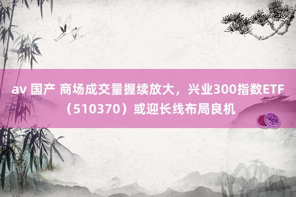 av 国产 商场成交量握续放大，兴业300指数ETF（510370）或迎长线布局良机