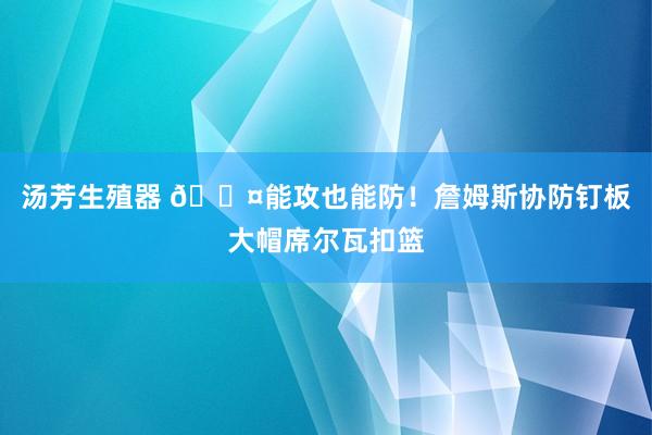 汤芳生殖器 😤能攻也能防！詹姆斯协防钉板大帽席尔瓦扣篮