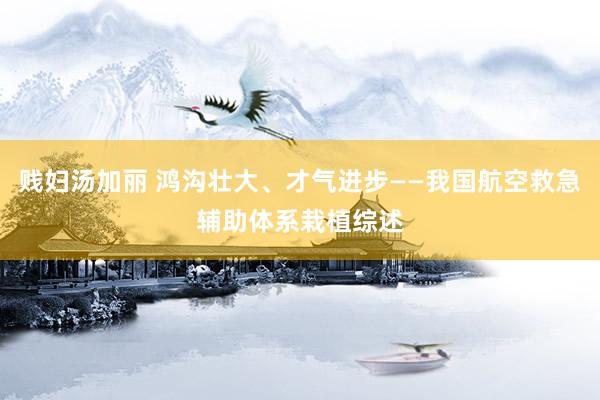 贱妇汤加丽 鸿沟壮大、才气进步——我国航空救急辅助体系栽植综述