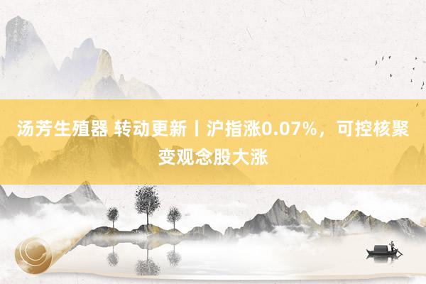 汤芳生殖器 转动更新丨沪指涨0.07%，可控核聚变观念股大涨