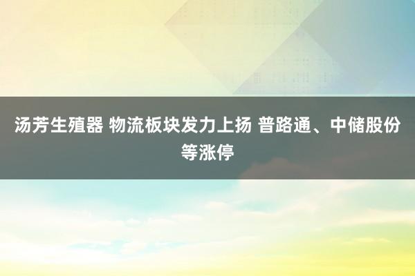 汤芳生殖器 物流板块发力上扬 普路通、中储股份等涨停