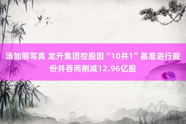 汤加丽写真 龙升集团控股因“10并1”基准进行股份并吞而削减12.96亿股