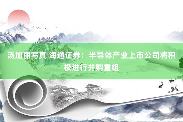 汤加丽写真 海通证券：半导体产业上市公司将积极进行并购重组