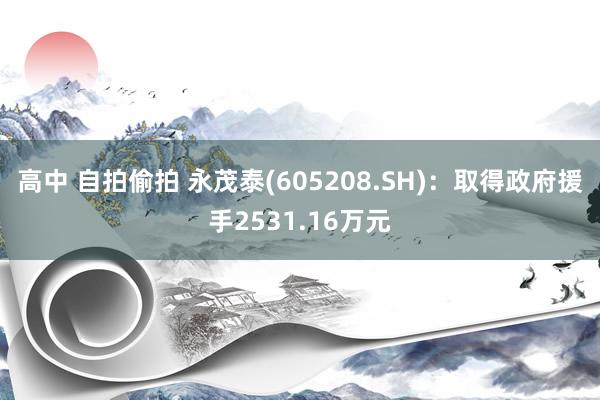 高中 自拍偷拍 永茂泰(605208.SH)：取得政府援手2531.16万元