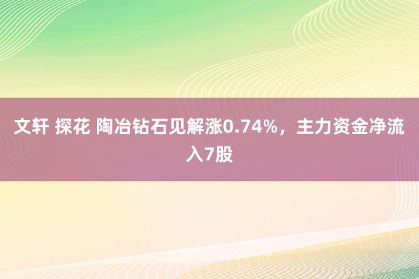 文轩 探花 陶冶钻石见解涨0.74%，主力资金净流入7股