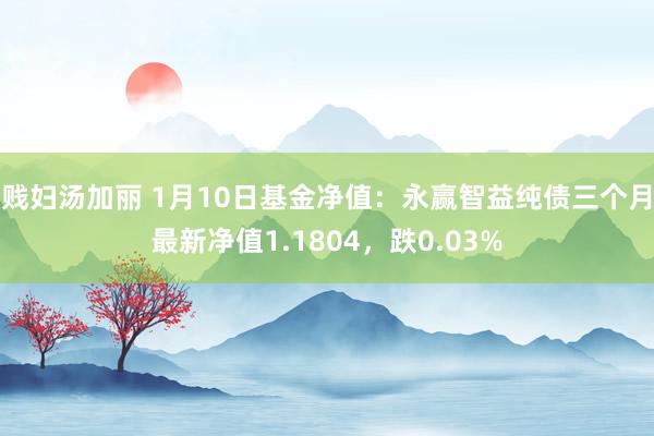 贱妇汤加丽 1月10日基金净值：永赢智益纯债三个月最新净值1.1804，跌0.03%