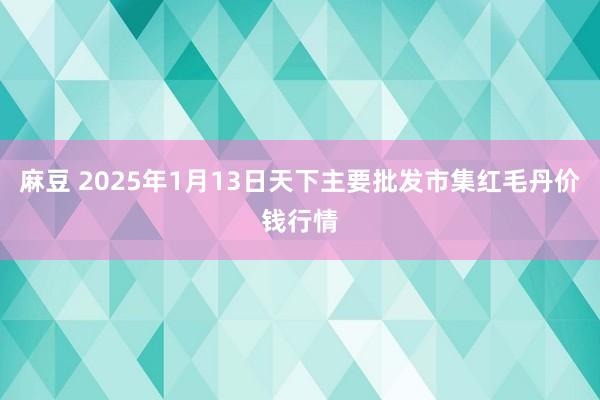 麻豆 2025年1月13日天下主要批发市集红毛丹价钱行情