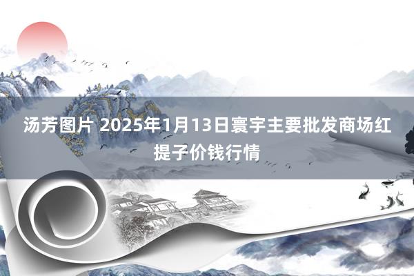 汤芳图片 2025年1月13日寰宇主要批发商场红提子价钱行情