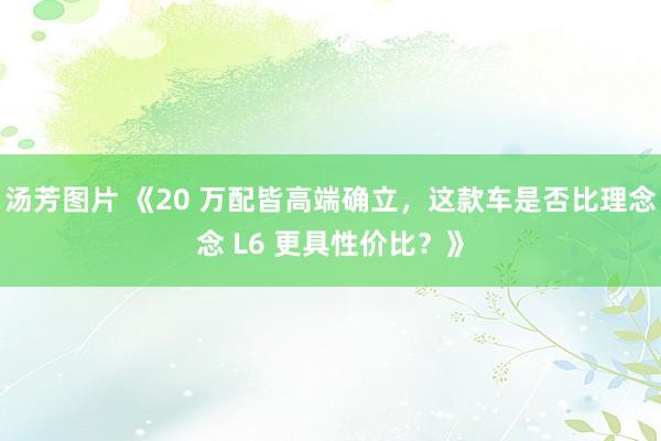 汤芳图片 《20 万配皆高端确立，这款车是否比理念念 L6 更具性价比？》