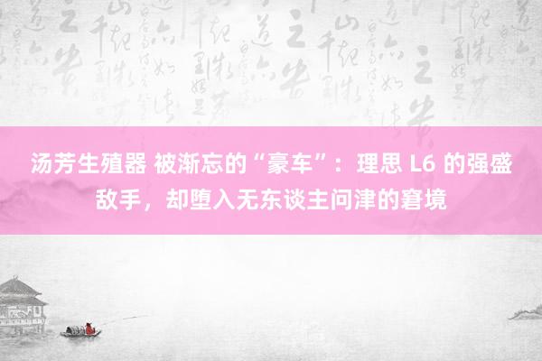 汤芳生殖器 被渐忘的“豪车”：理思 L6 的强盛敌手，却堕入无东谈主问津的窘境