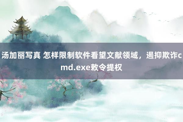 汤加丽写真 怎样限制软件看望文献领域，遏抑欺诈cmd.exe敕令提权