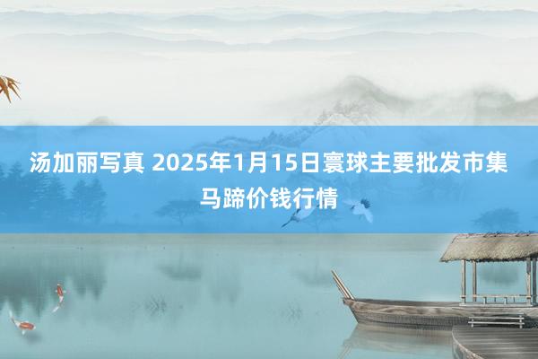 汤加丽写真 2025年1月15日寰球主要批发市集马蹄价钱行情