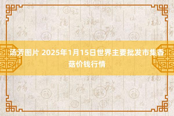 汤芳图片 2025年1月15日世界主要批发市集香菇价钱行情