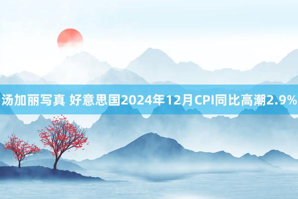 汤加丽写真 好意思国2024年12月CPI同比高潮2.9%