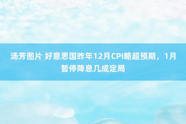 汤芳图片 好意思国昨年12月CPI略超预期，1月暂停降息几成定局