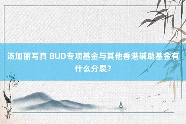 汤加丽写真 BUD专项基金与其他香港辅助基金有什么分裂？