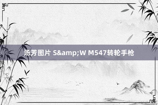 汤芳图片 S&W M547转轮手枪